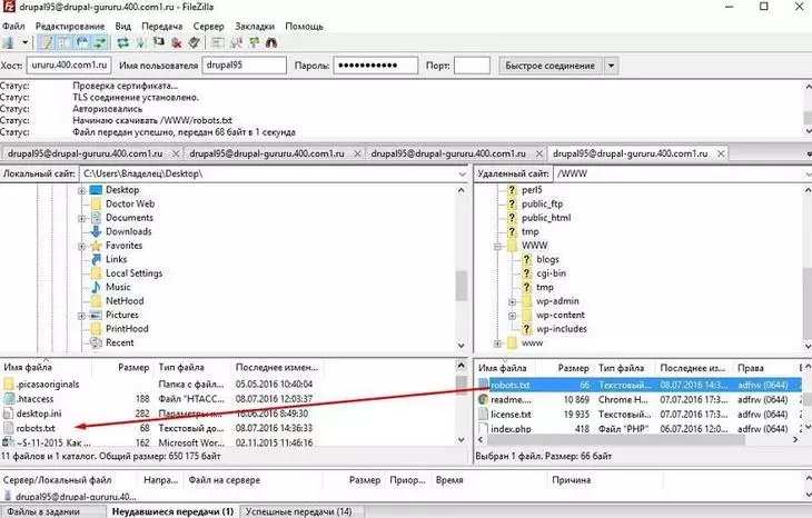 Файл находится в корневом каталоге в папке www. Загружаем файл robots.txt на жесткий диск ПК