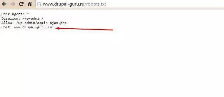 Директива Host указана корректно Директива Host указана корректно